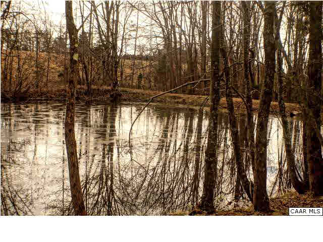 5445 Louisa Road Keswick, VA 22947 - Photo 33 of 39 a black and white photo of a lake