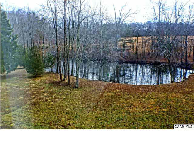 5445 Louisa Road Keswick, VA 22947 - Photo 5 of 39 a view of outdoor space and tree
