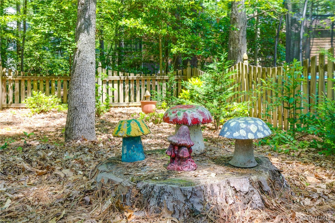 13904 Sterlings Bridge Road Midlothian, VA 23112 - Photo 40 of 41