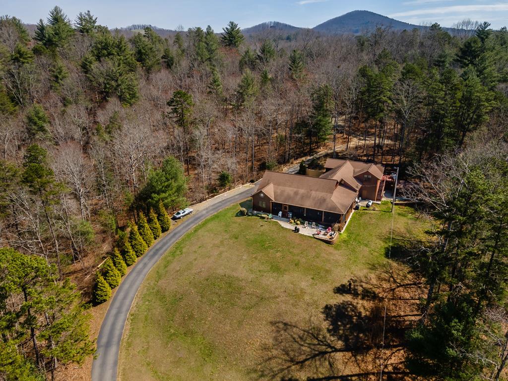 45 Turning Lay Road Morganton, GA 30560 - Photo 1 of 48 an aerial view of a house with a yard