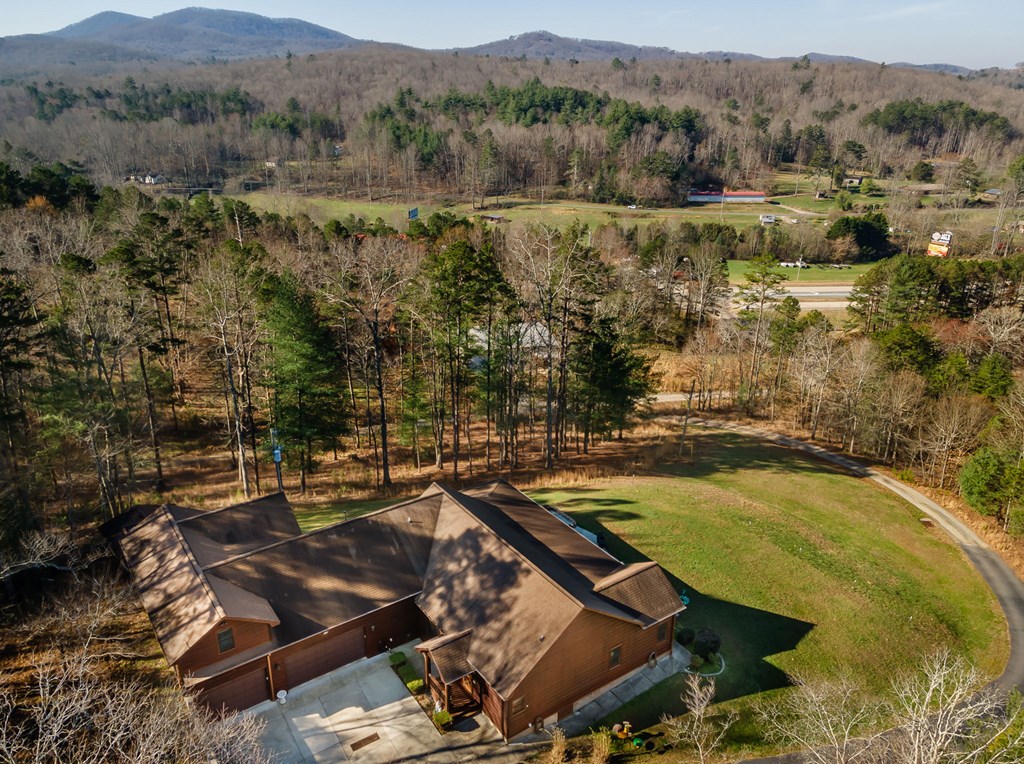 45 Turning Lay Road Morganton, GA 30560 - Photo 47 of 48 a view of a lake with a mountain