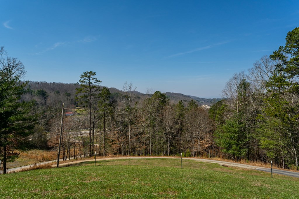 45 Turning Lay Road Morganton, GA 30560 - Photo 9 of 48 a view of a field with a tree in the background