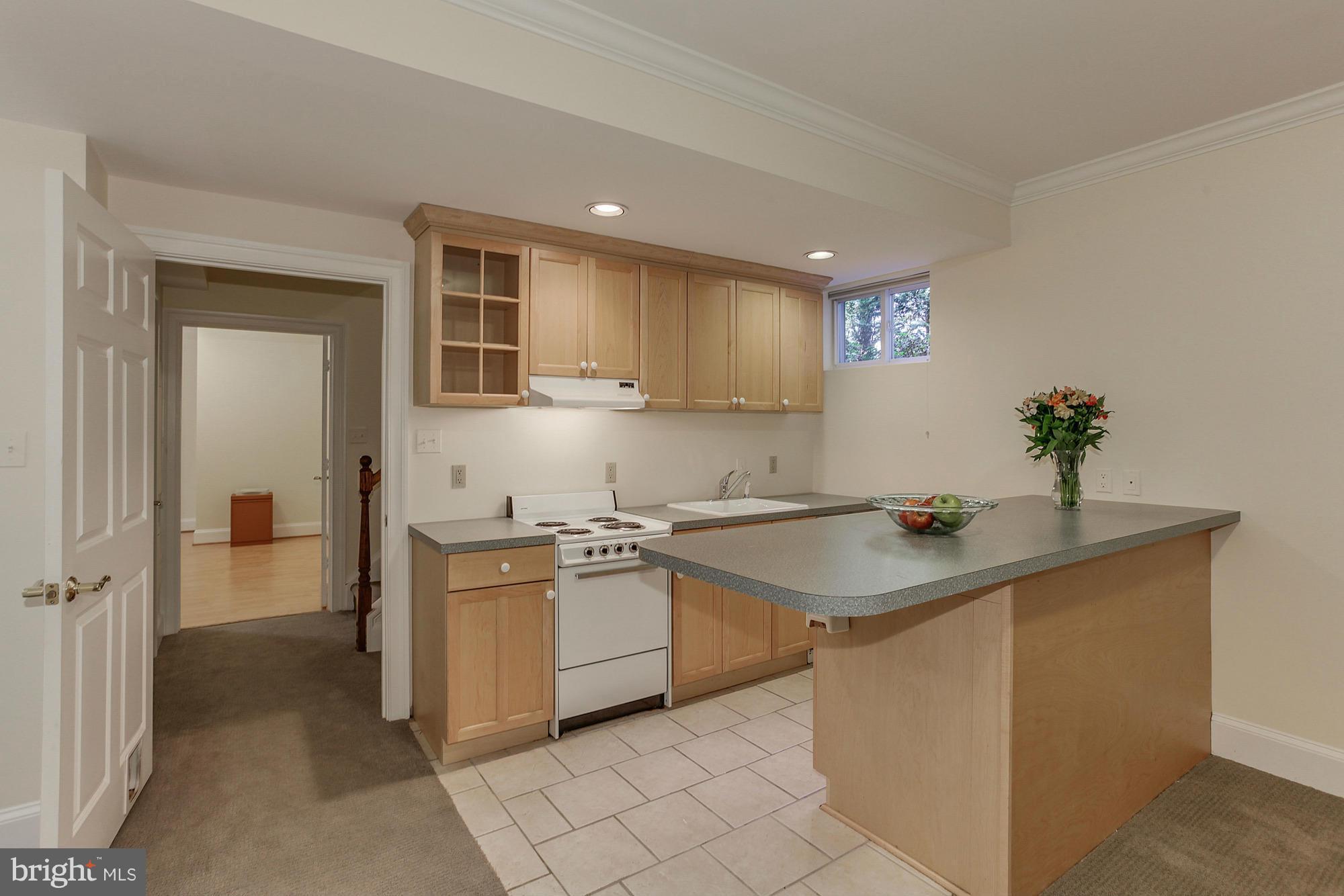 6807 19th Road North Arlington, VA 22213 - Photo 22 of 30 Basement