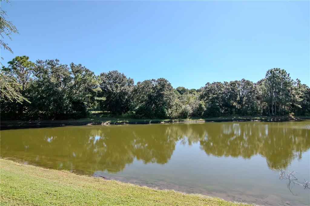 4938 Yellowstone Drive New Port Richey, FL 34655 - Photo 33 of 51 a view of a lake from a yard