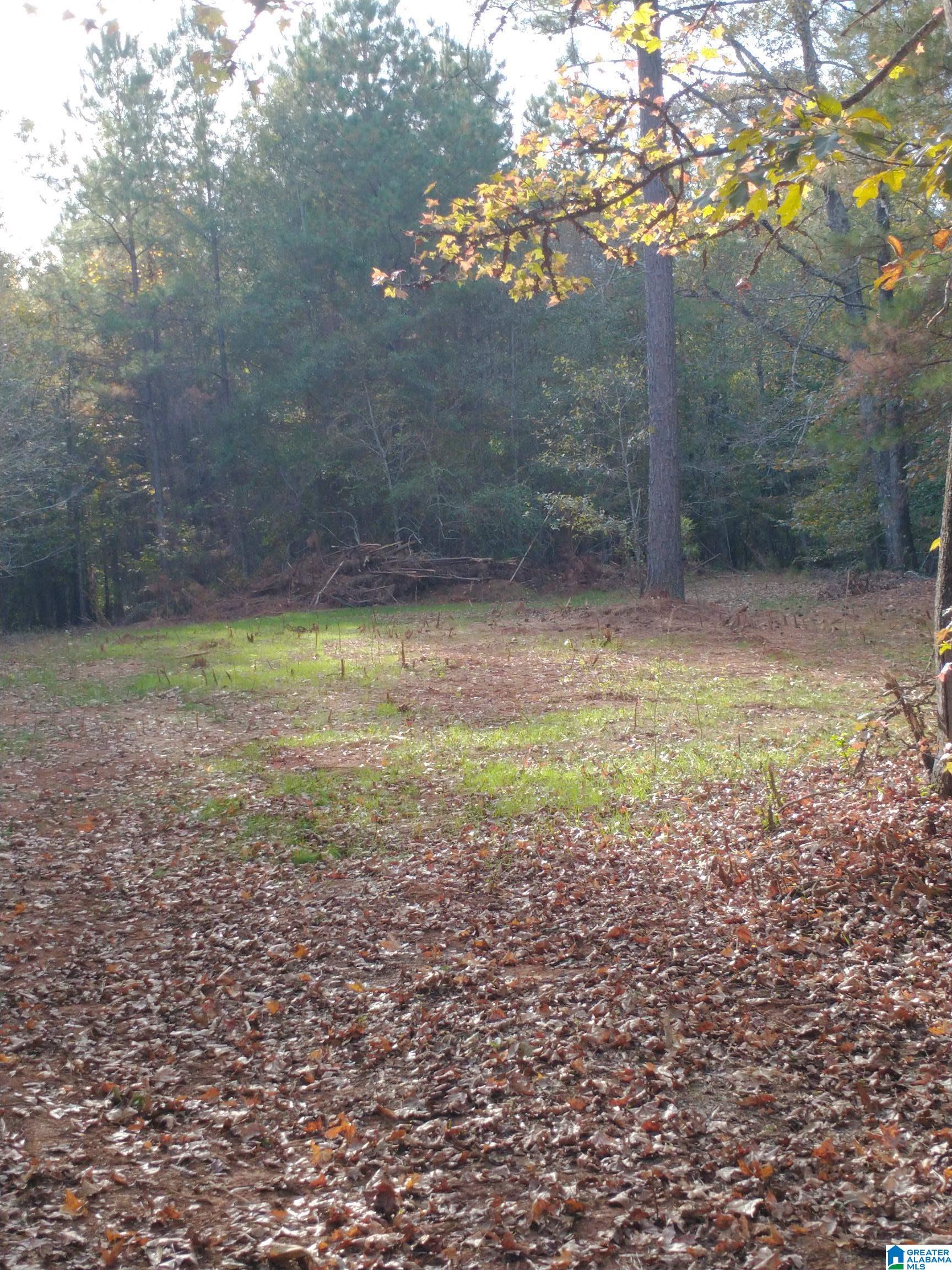1 Ragans Lane, Unit 51 Talladega, AL 35160 - Photo 8 of 11