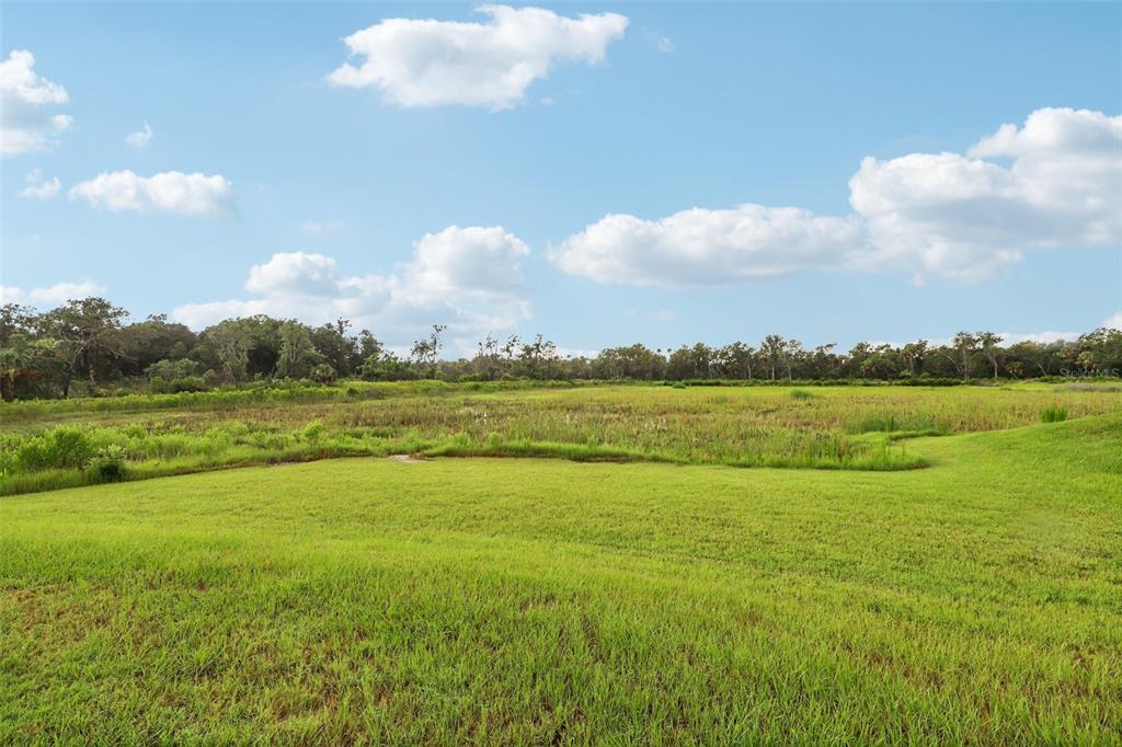 160 Coronado Road Flagler Beach, FL 32136 - Photo 12 of 14 Gallery Image 12