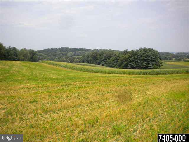 5137 East Prospect Road York, PA 17406 - Photo 3 of 25 Gallery Image 3