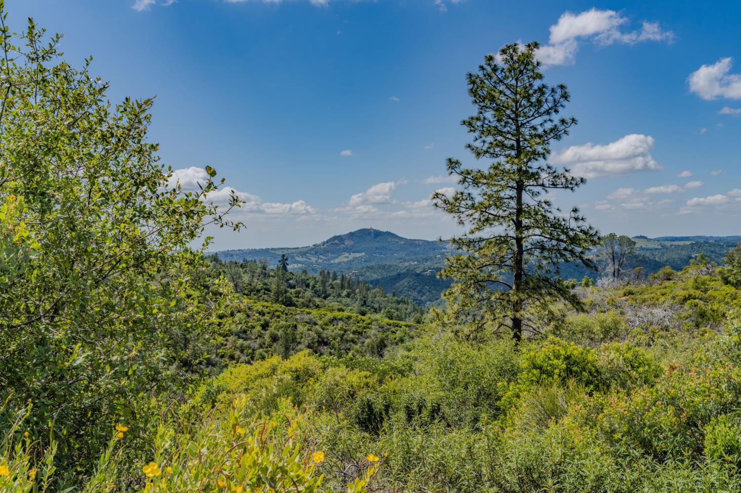 3155 Hawver Road San Andreas, CA 95249 - Photo 1 of 63 THE VIEW!!