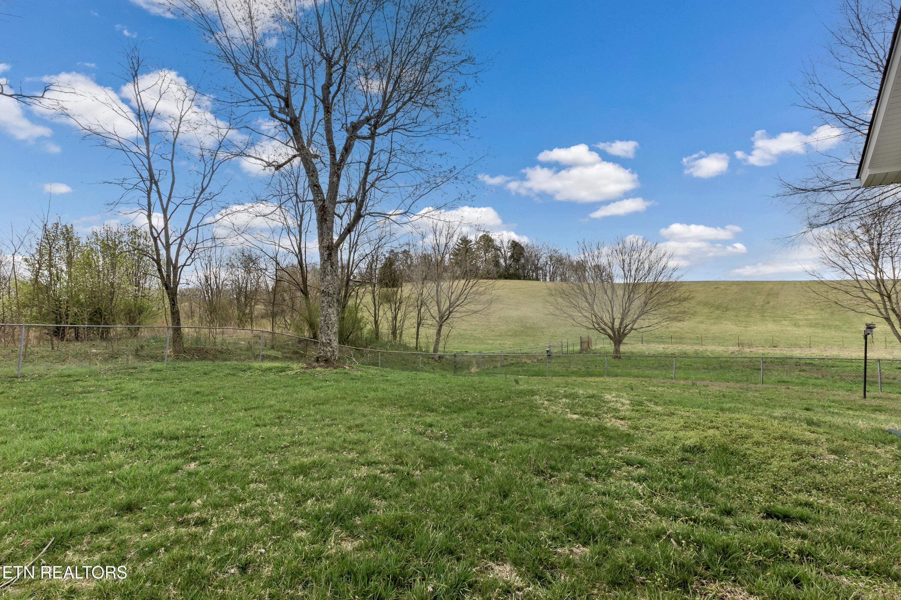 20590 Steekee Road Loudon, TN 37774 - Photo 42 of 47 All can enjoy this level yard