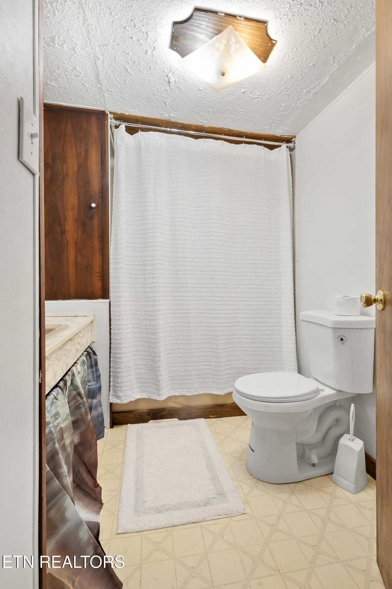 20590 Steekee Road Loudon, TN 37774 - Photo 6 of 47 Hall Bath