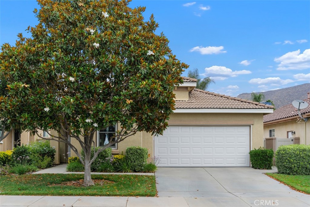 28208 Meadowsweet Drive Menifee, CA 92584 - Photo 1 of 55 a front view of a house with a garden