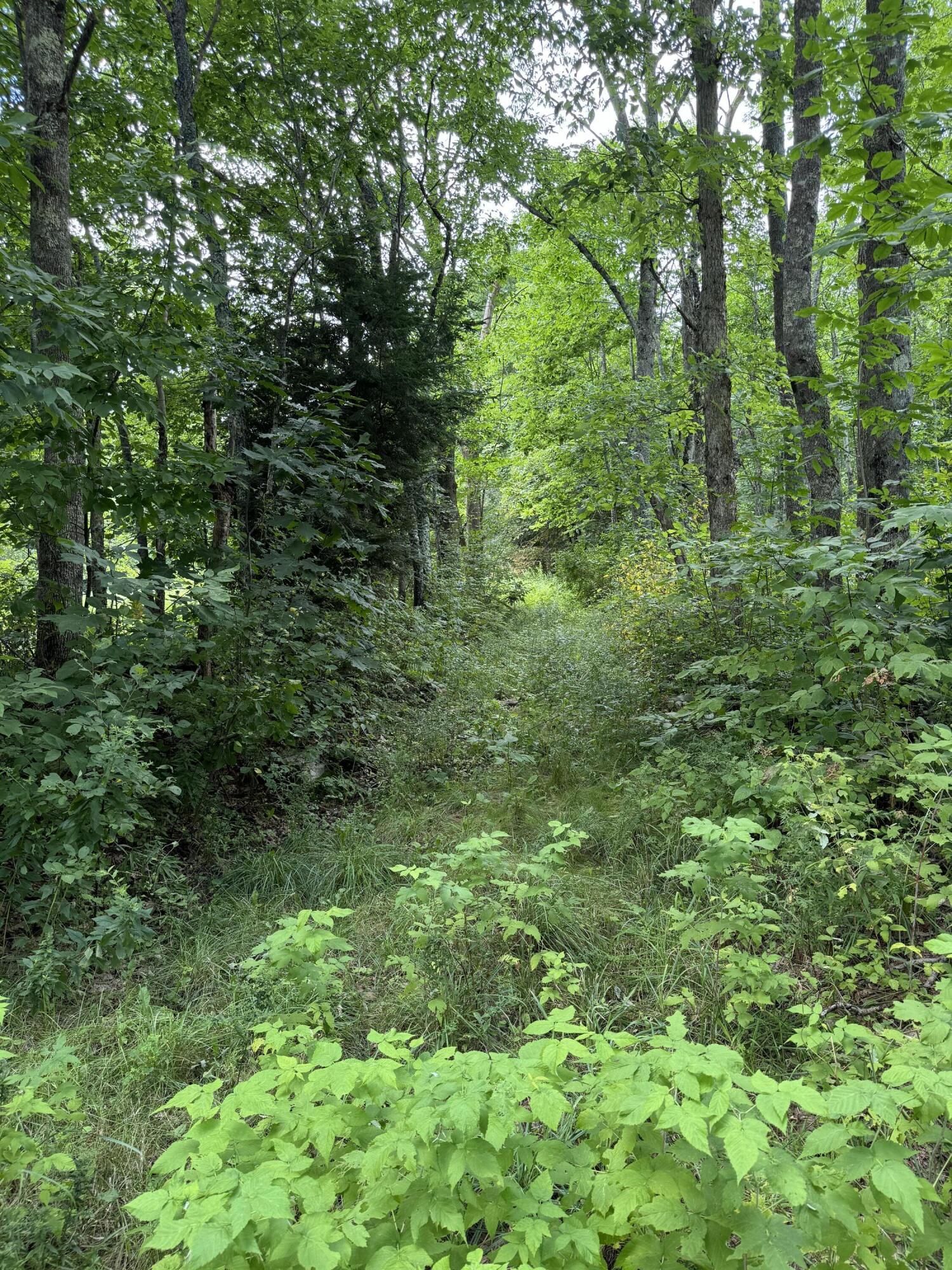 43 West Washington Road Washington, ME 04574 - Photo 5 of 5 IMG_8475