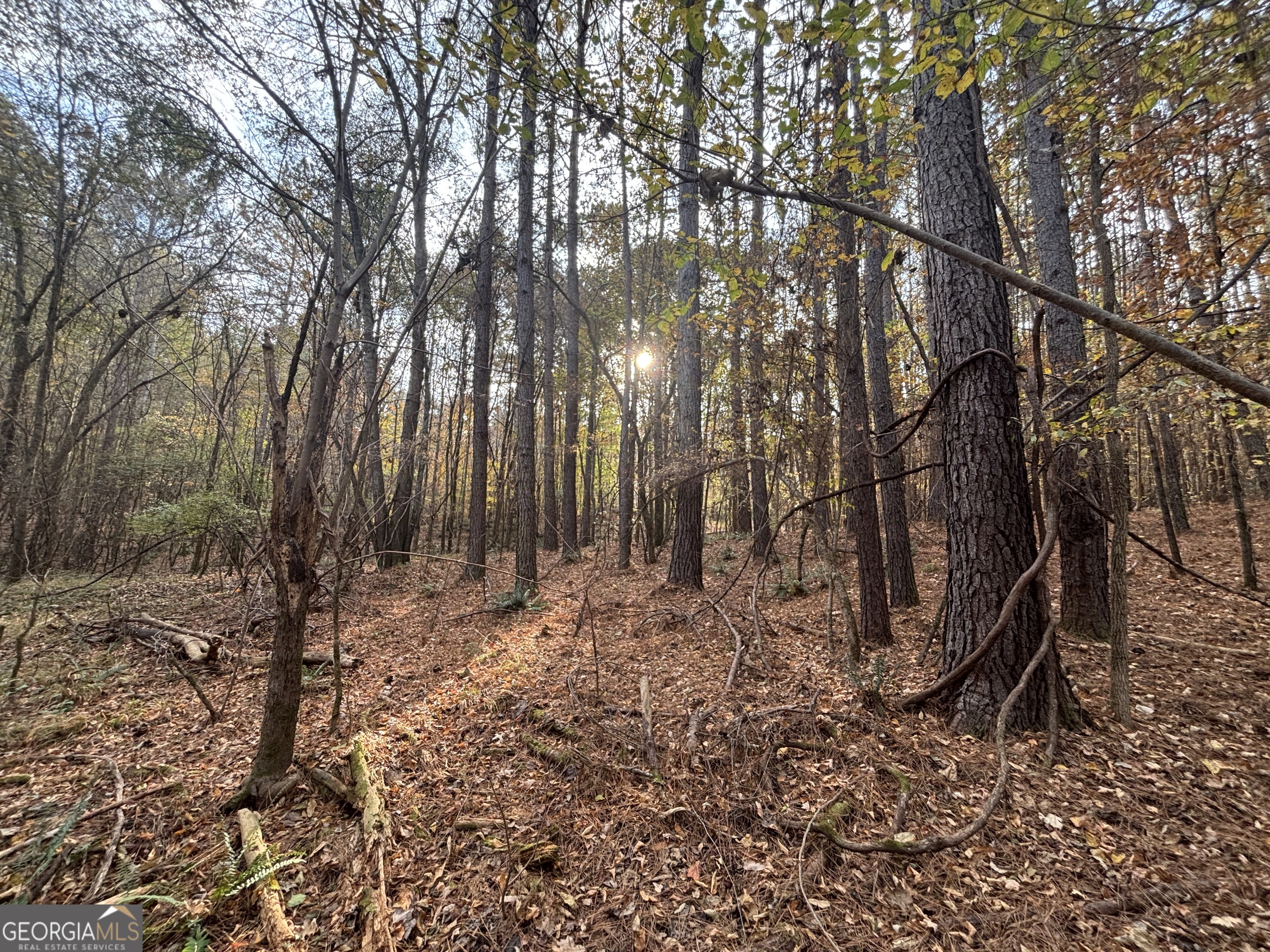 0 Oconee Road Buckhead, GA 30625 - Photo 1 of 16 a backyard of a house with lots of green space