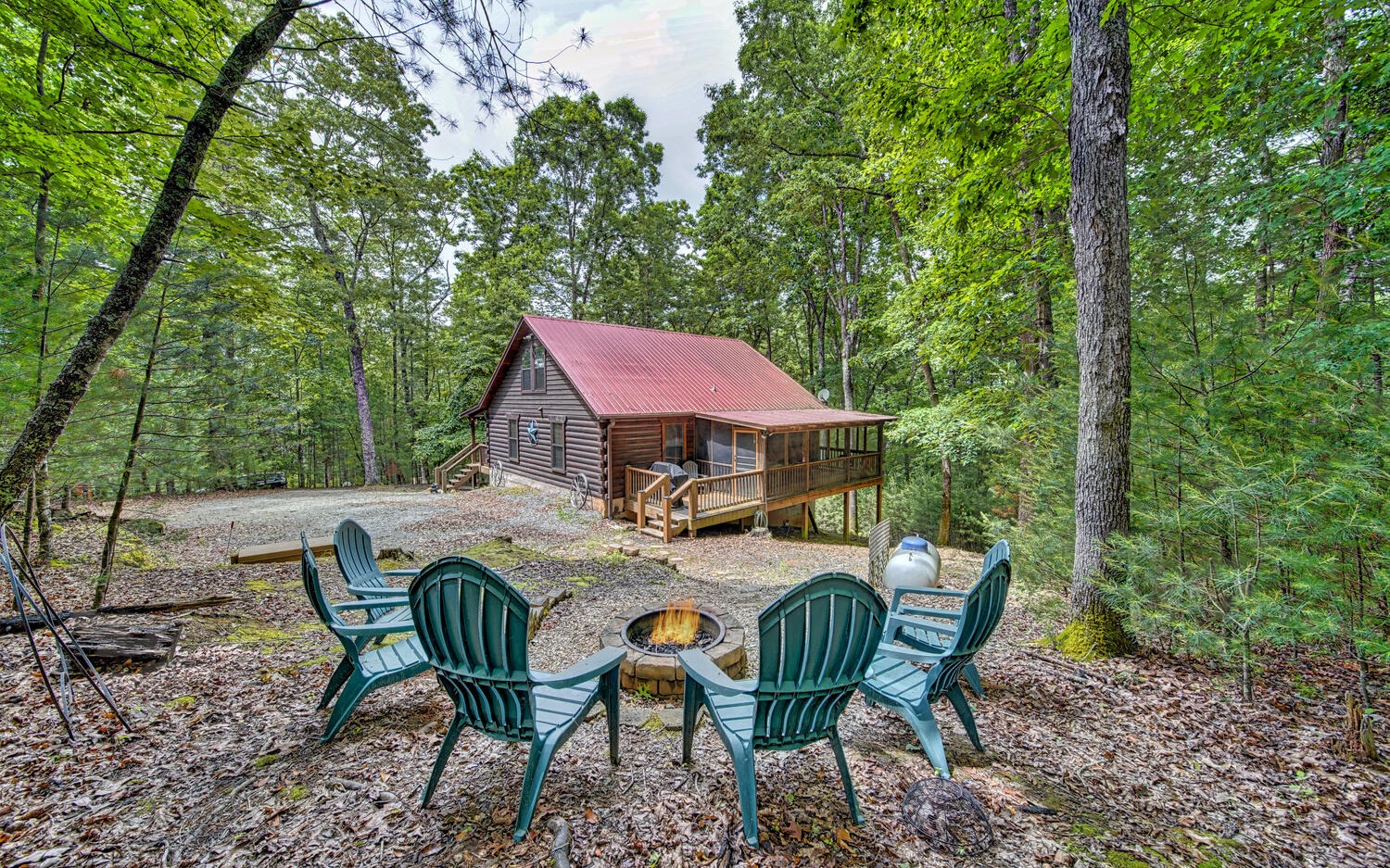 652 Mountain Lake Circle Blue Ridge, GA 30513 - Photo 1 of 4 Main View