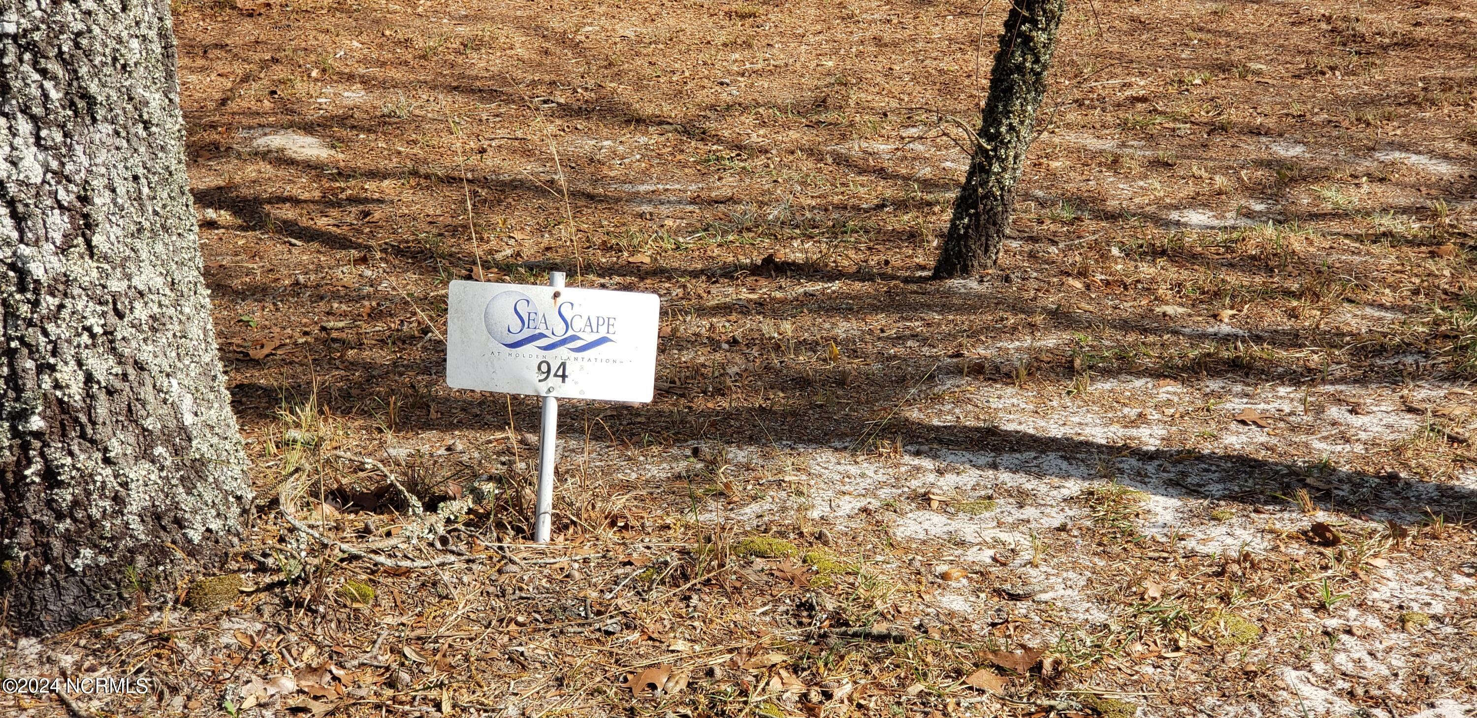 627 Valverda Street Southwest Supply, NC 28462 - Photo 3 of 14 Lot 94