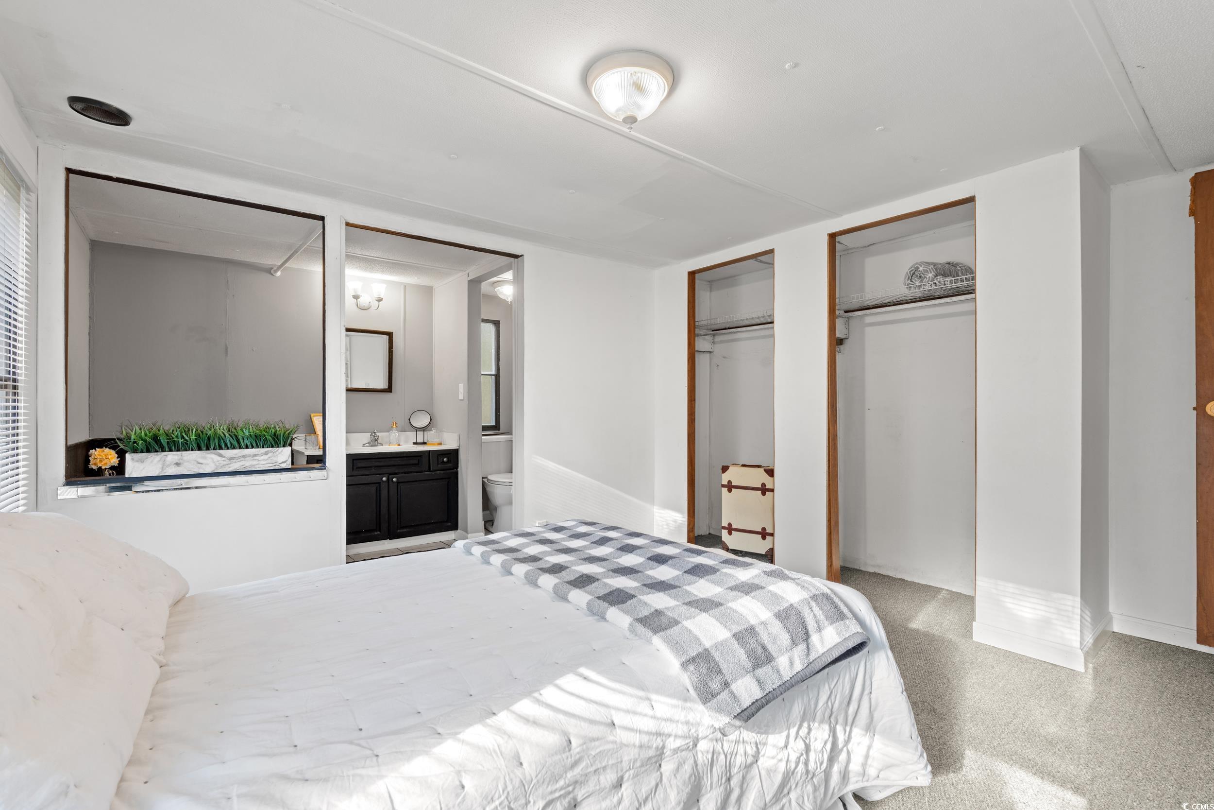 149 William Street Loris, SC 29569 - Photo 19 of 40 Carpeted bedroom with multiple closets and ensuite bathroom