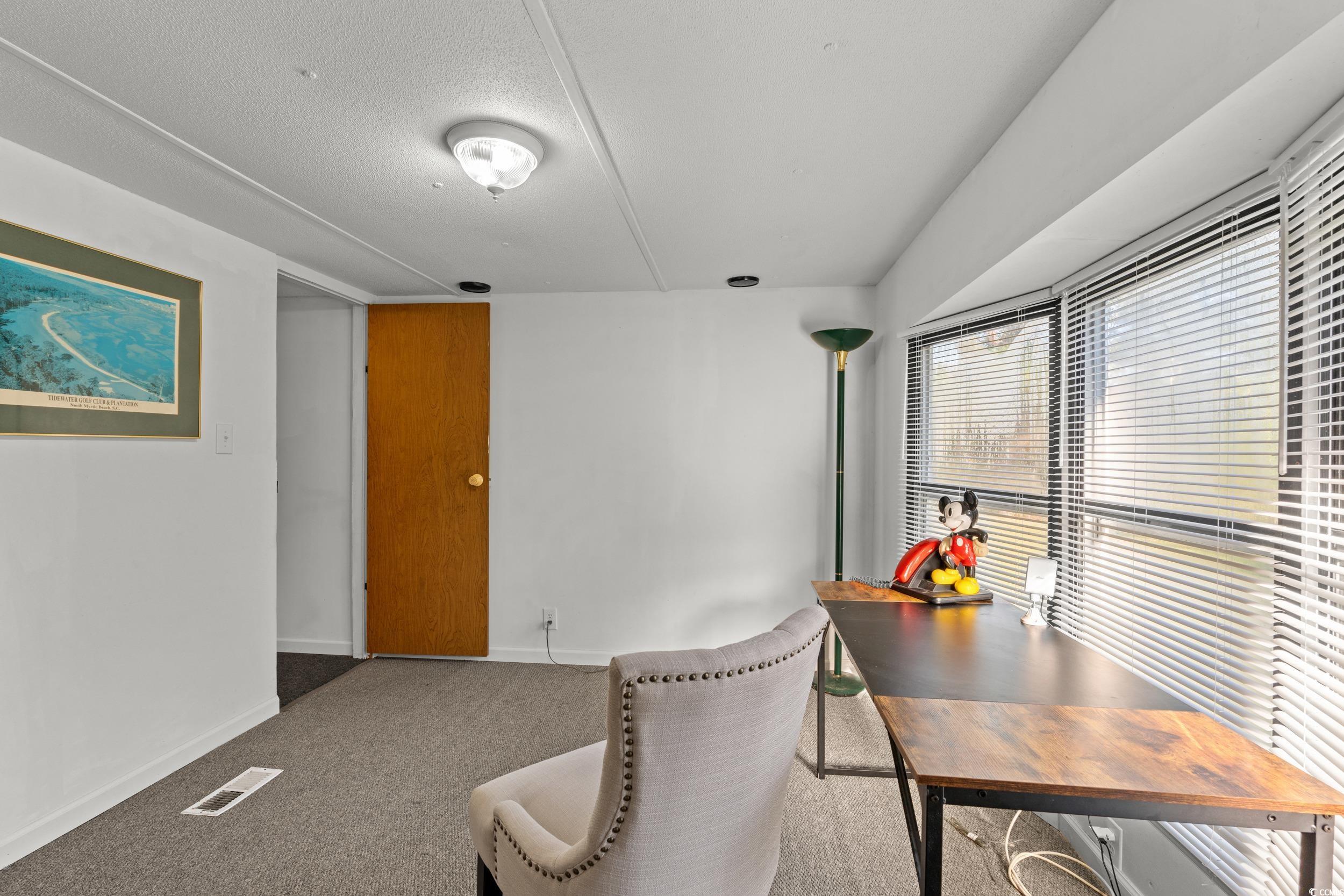 149 William Street Loris, SC 29569 - Photo 25 of 40 Office space featuring carpet and a textured ceiling