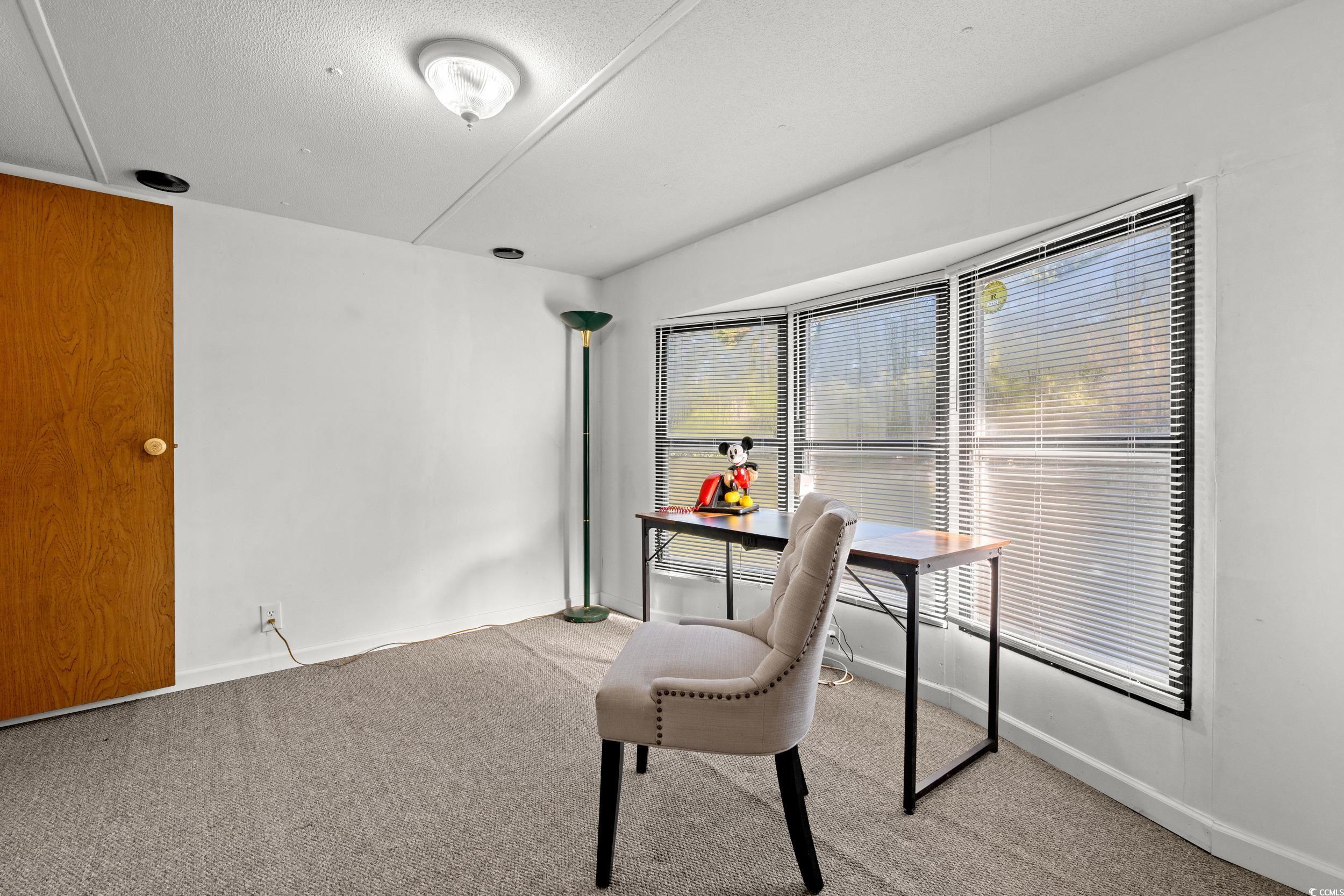149 William Street Loris, SC 29569 - Photo 8 of 40 Home office with carpet floors and a textured ceiling