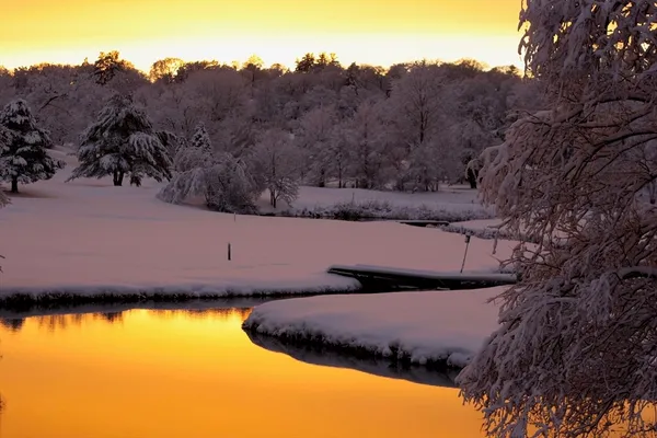 a view of a lake