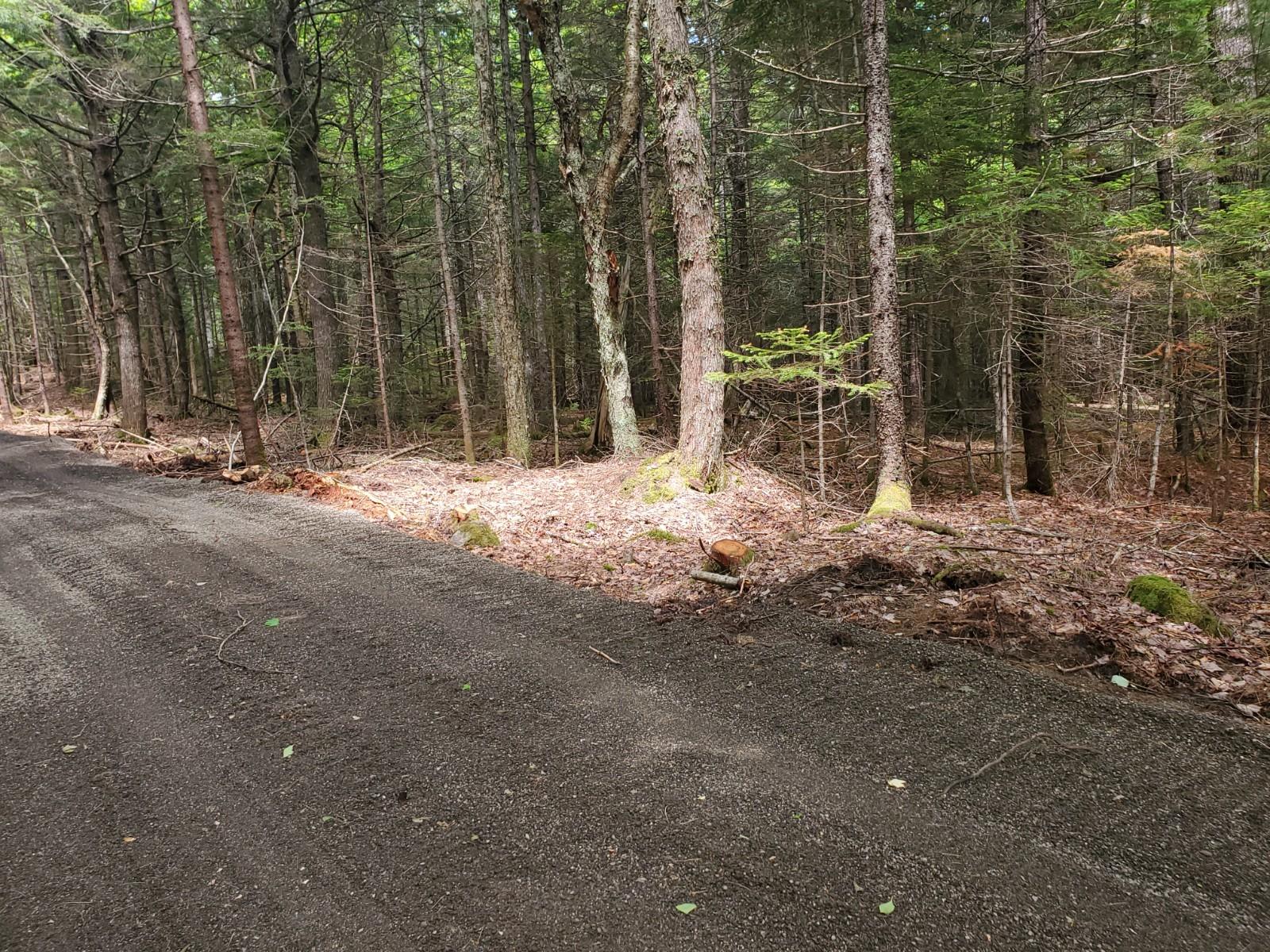 Lot 2 Carlow Road Wesley, ME 04686 - Photo 3 of 5 20210604_133524