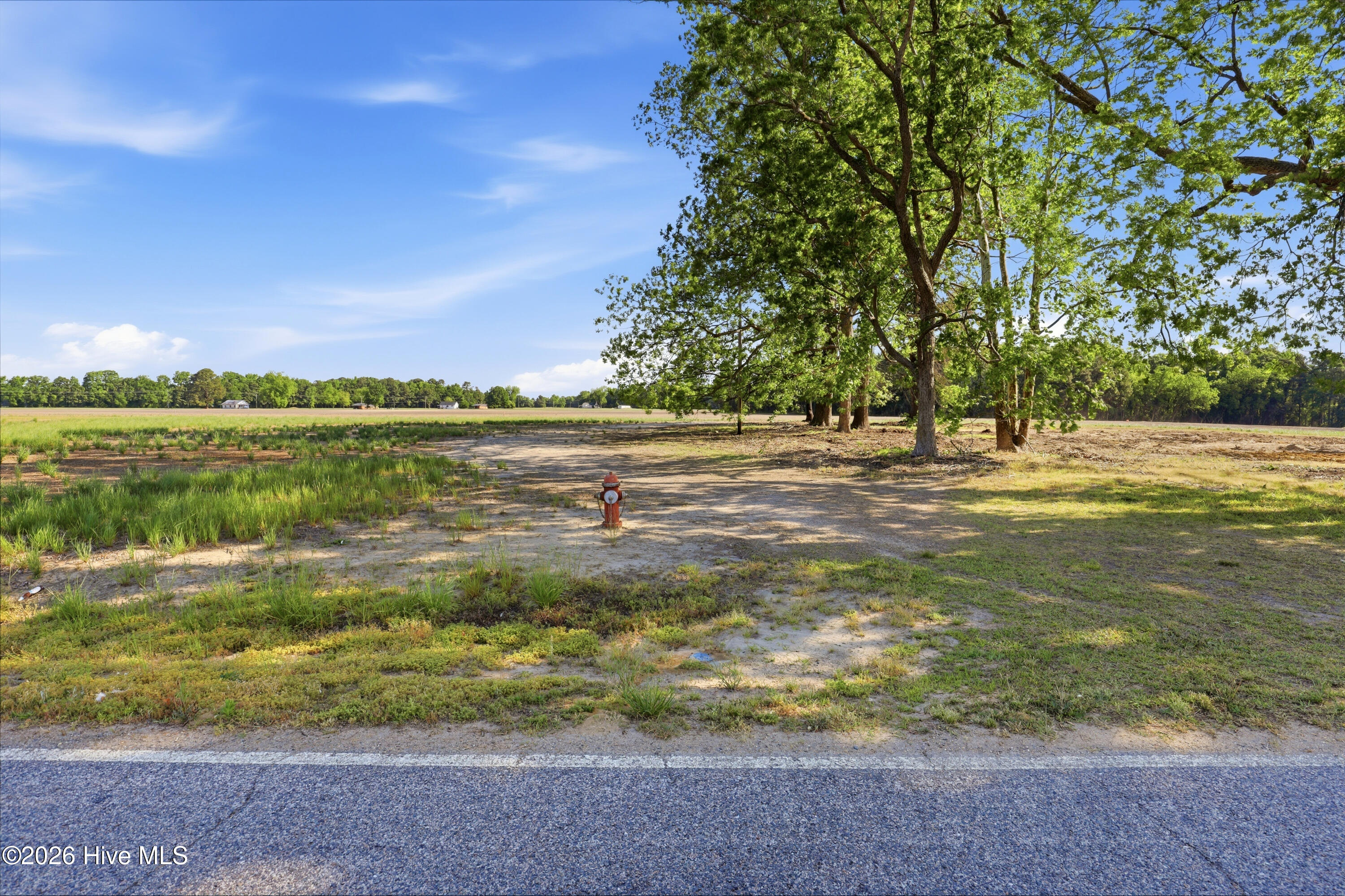 1150 Waller Road Mount Olive, NC 28365 - Photo 1 of 6