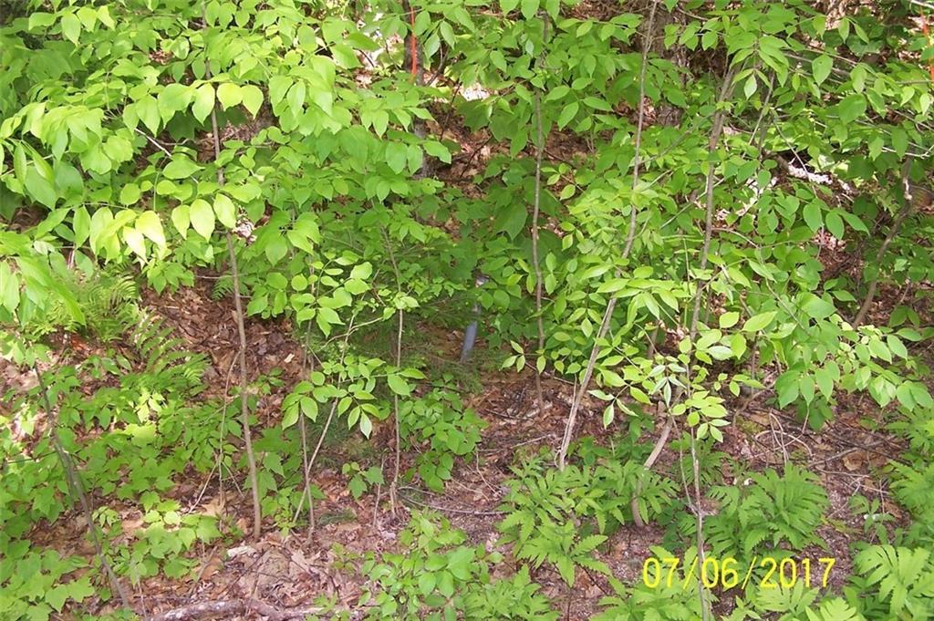 0 Byron Village Road Roxbury, ME 04275 - Photo 5 of 7 Photo