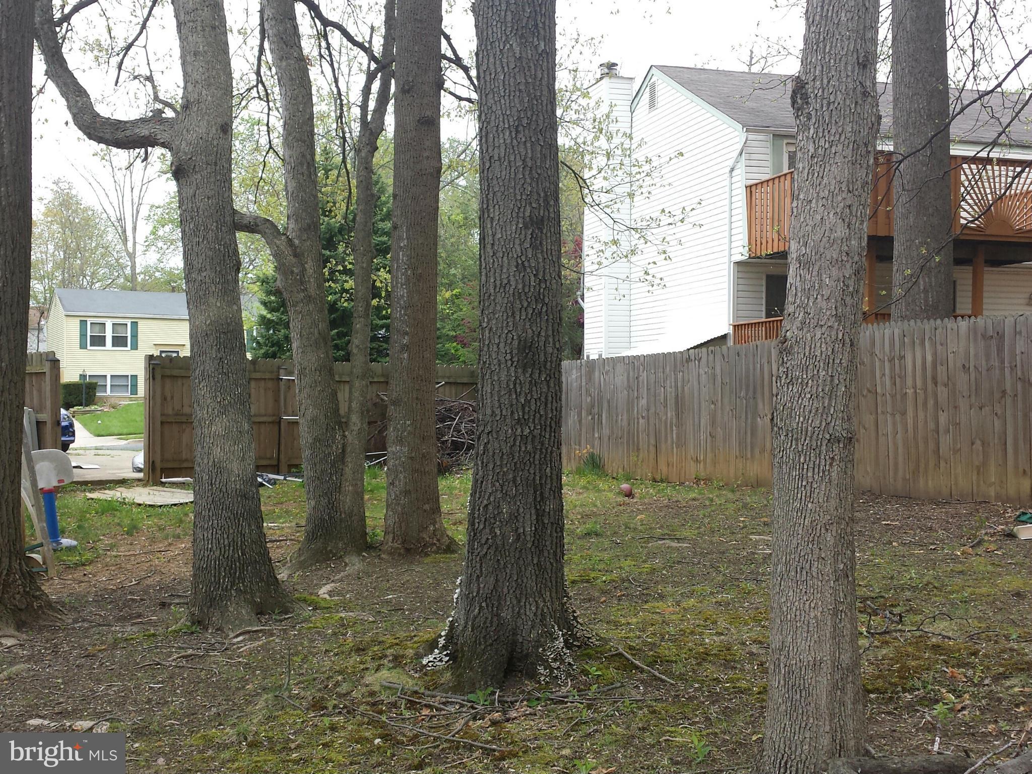 4117 Paran Road Randallstown, MD 21133 - Photo 21 of 25 Backyard View Left side entrance