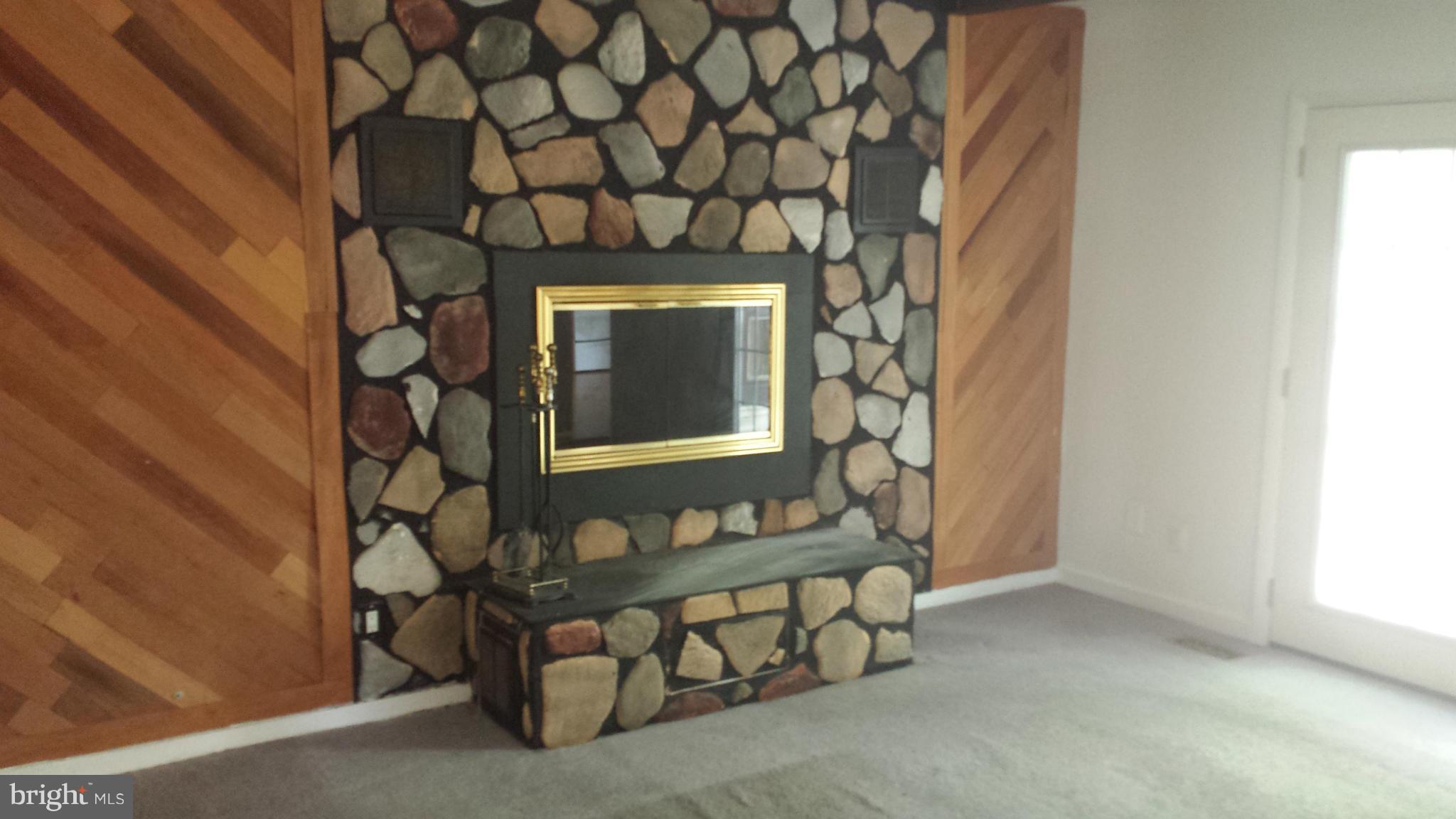 4117 Paran Road Randallstown, MD 21133 - Photo 8 of 25 Fire Place