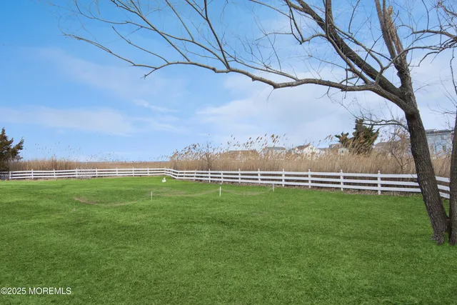 a view of a park with large trees