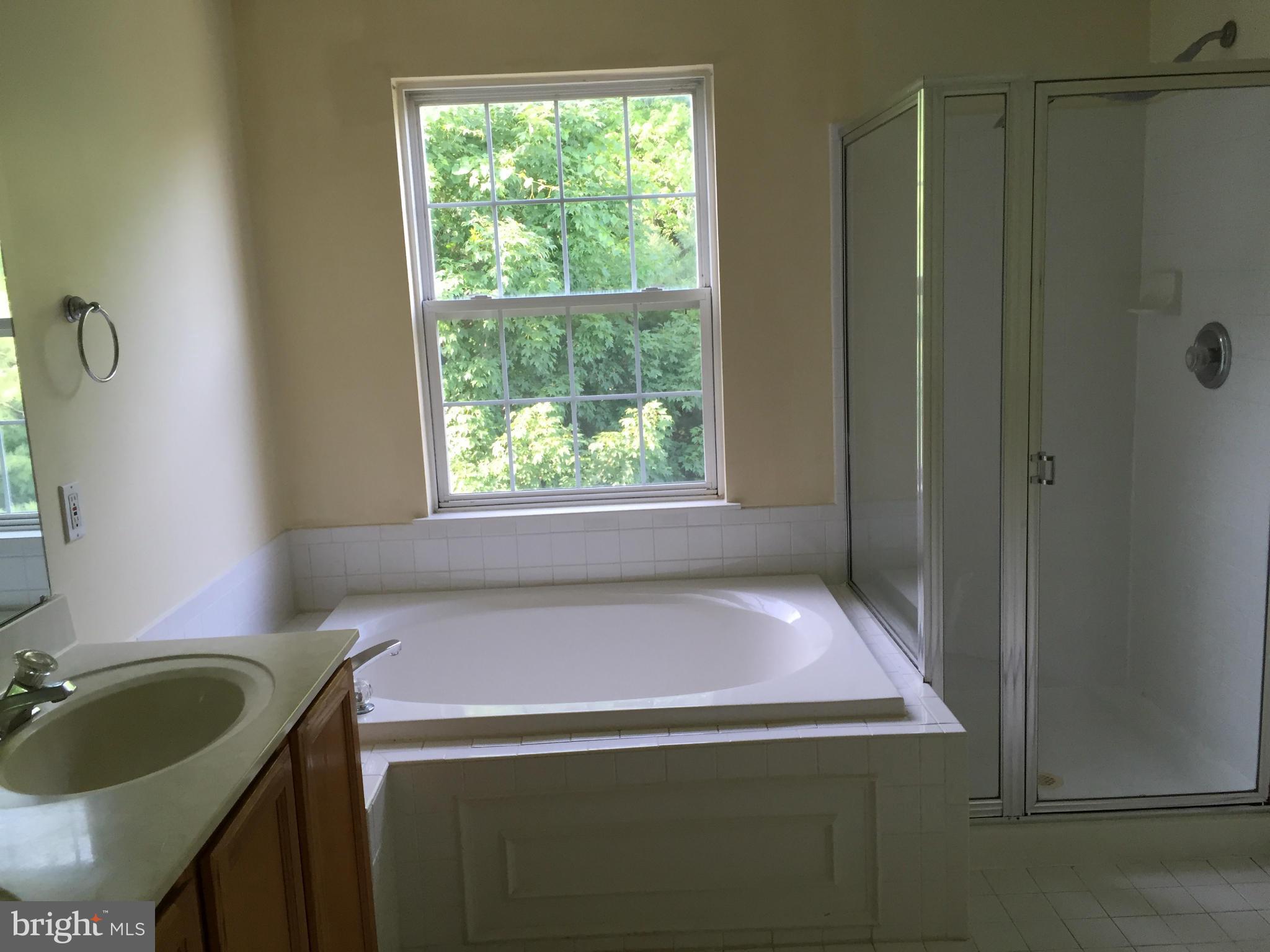 10421 Heathside Way Potomac, MD 20854 - Photo 15 of 22 Bath (Master)