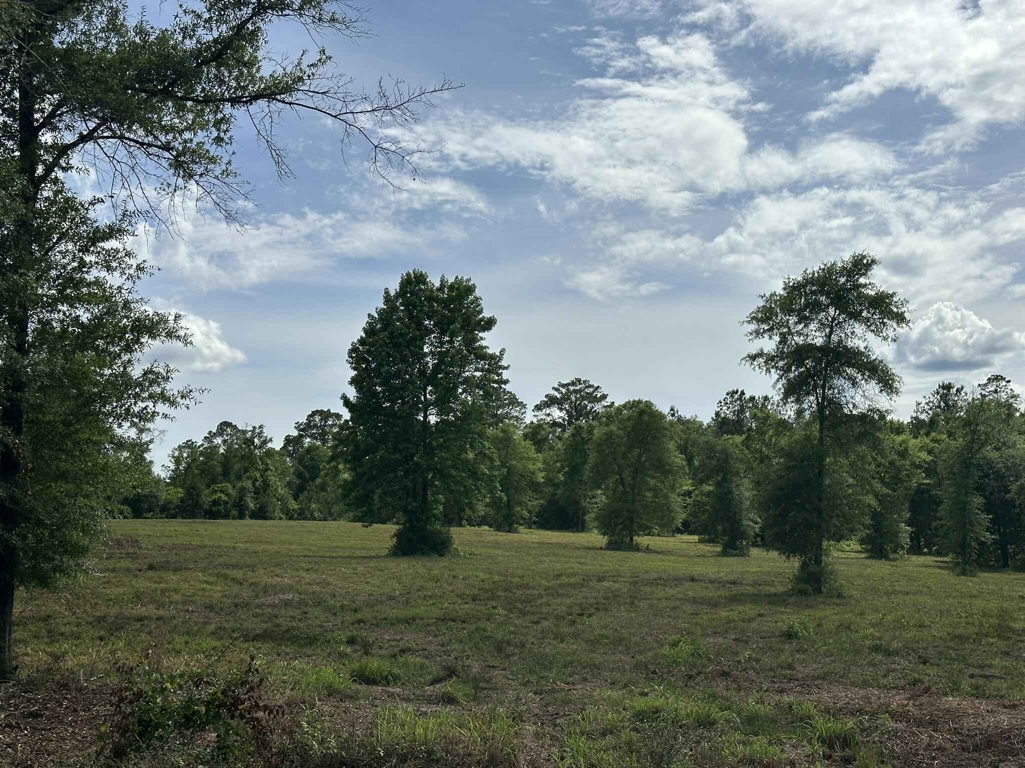 20 / New Ebenezer Road Florala, AL 36442 - Photo 5 of 6 IMG_0059
