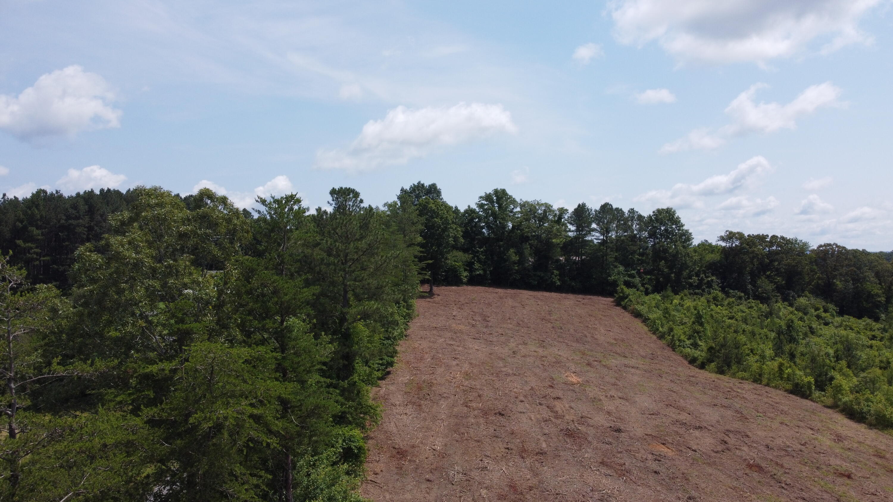1 Lake Circle Spring City, TN 37381 - Photo 16 of 28 Photo Jun 10 2025, 12 02 06 PM