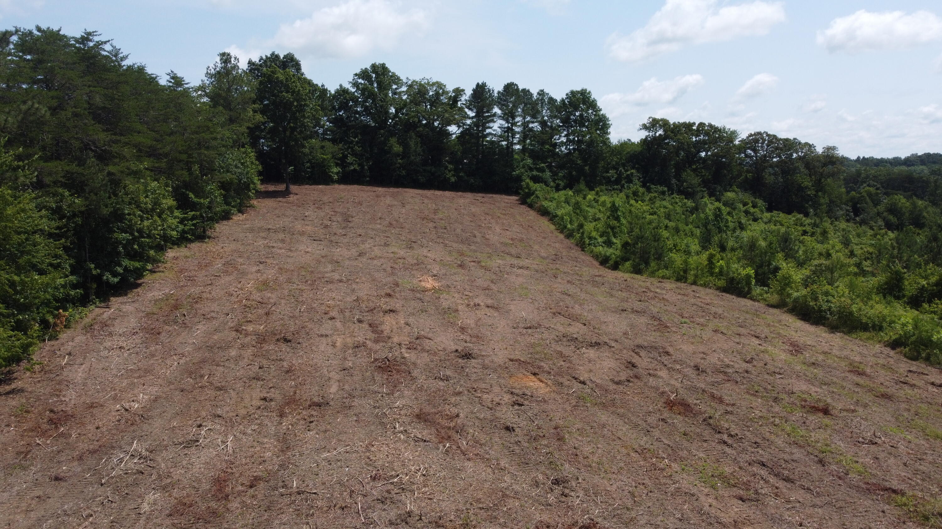 1 Lake Circle Spring City, TN 37381 - Photo 27 of 28 Photo Jun 10 2025, 12 05 54 PM