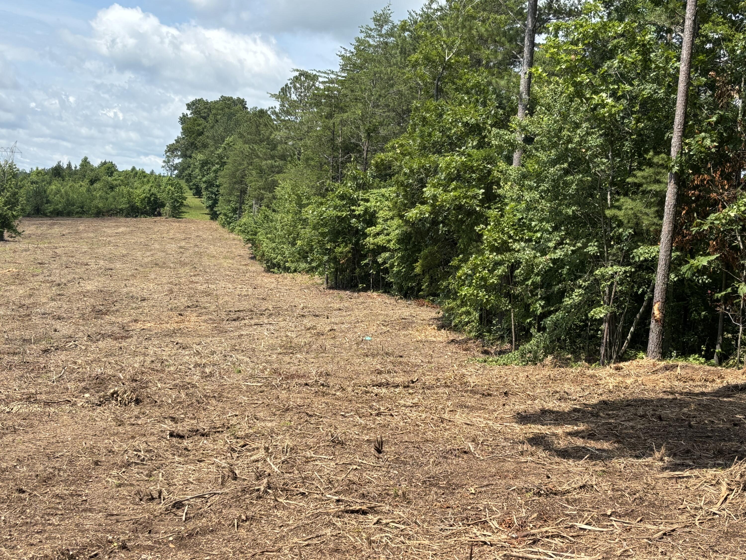 1 Lake Circle Spring City, TN 37381 - Photo 5 of 28 Photo Jun 10 2025, 11 49 16 AM