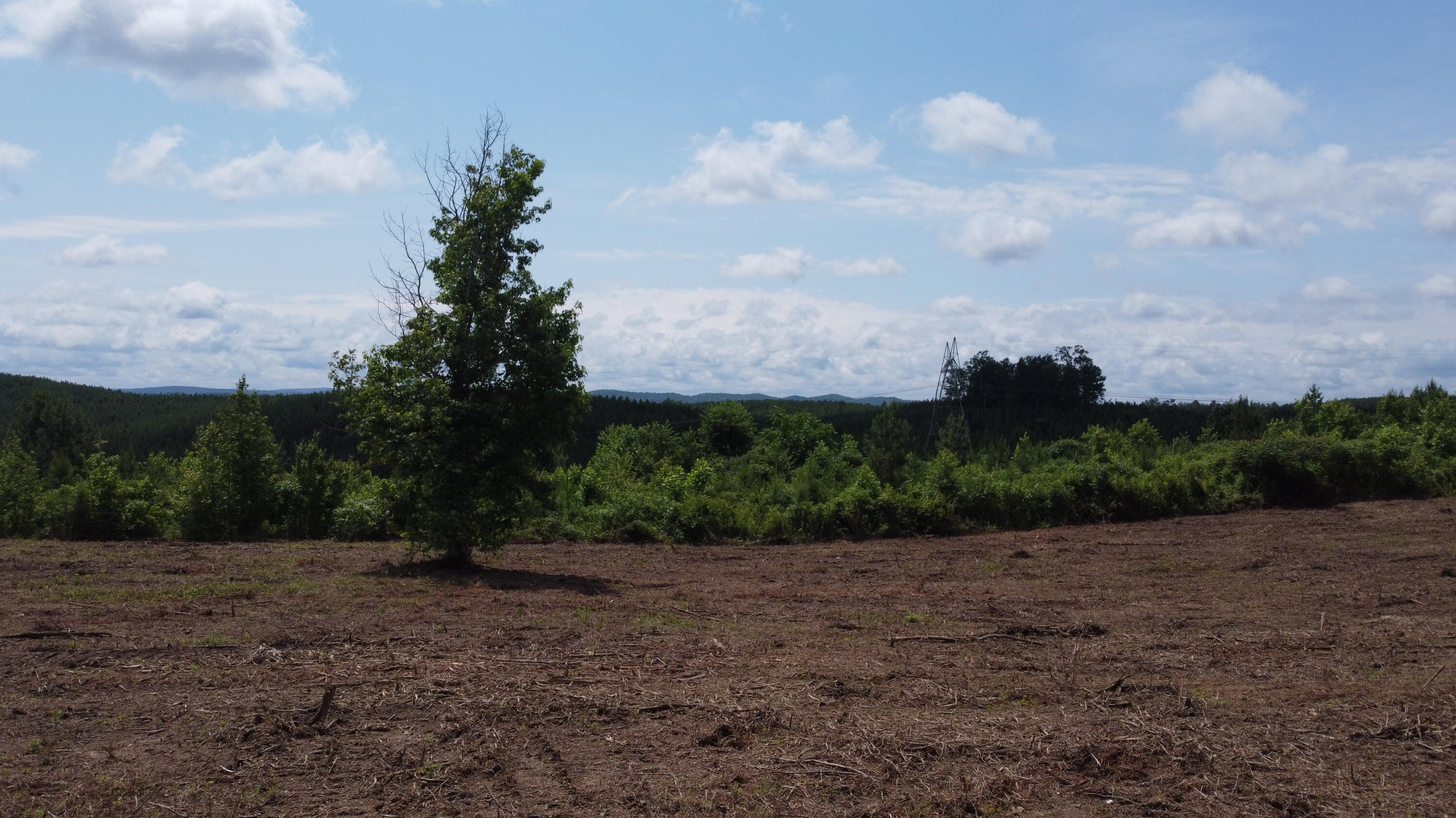 1 Lake Circle Spring City, TN 37381 - Photo 10 of 28 Photo Jun 10 2025, 12 01 38 PM