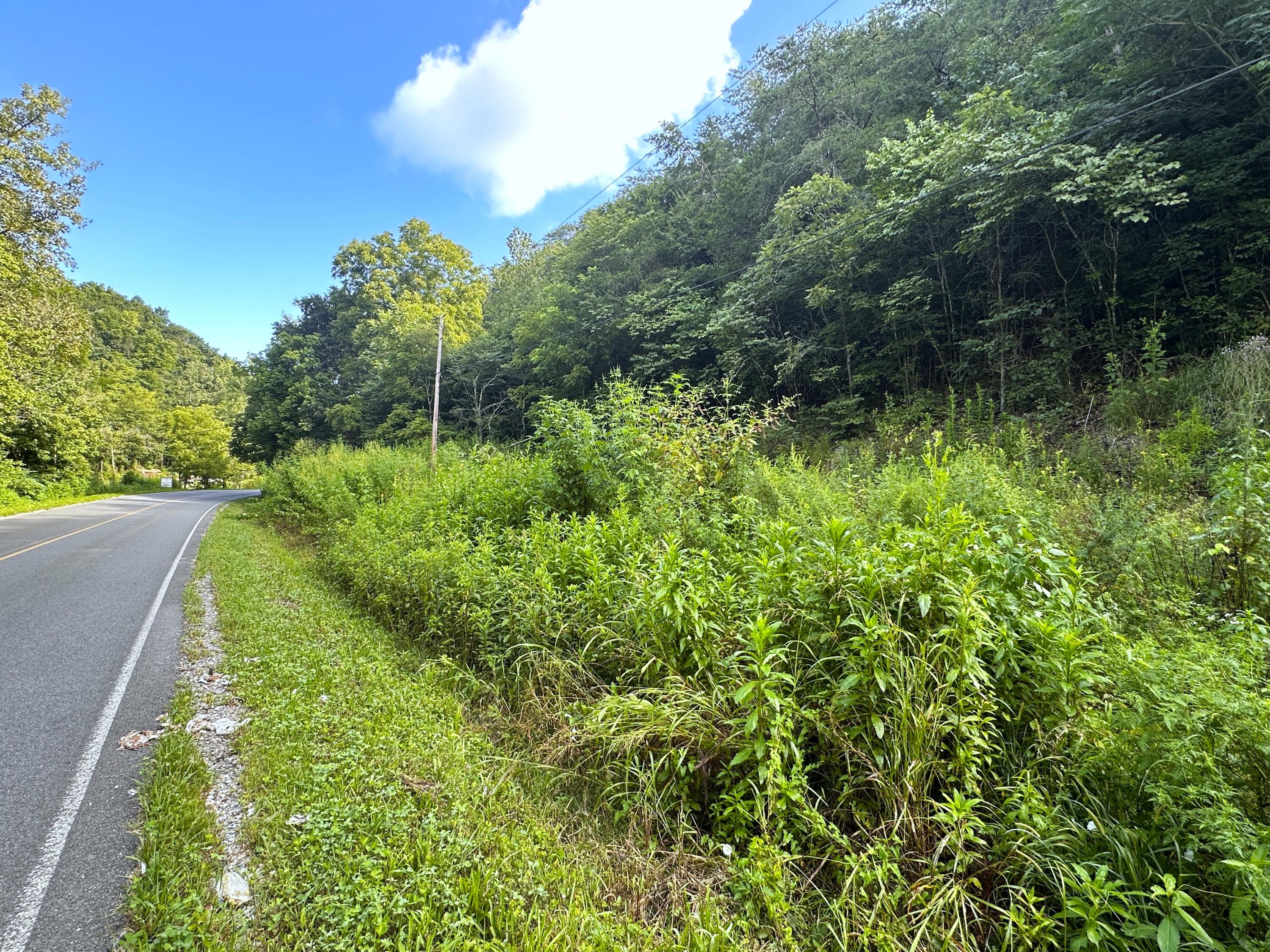 2128 Holt Town Road Newport, TN 37821 - Photo 2 of 9 2