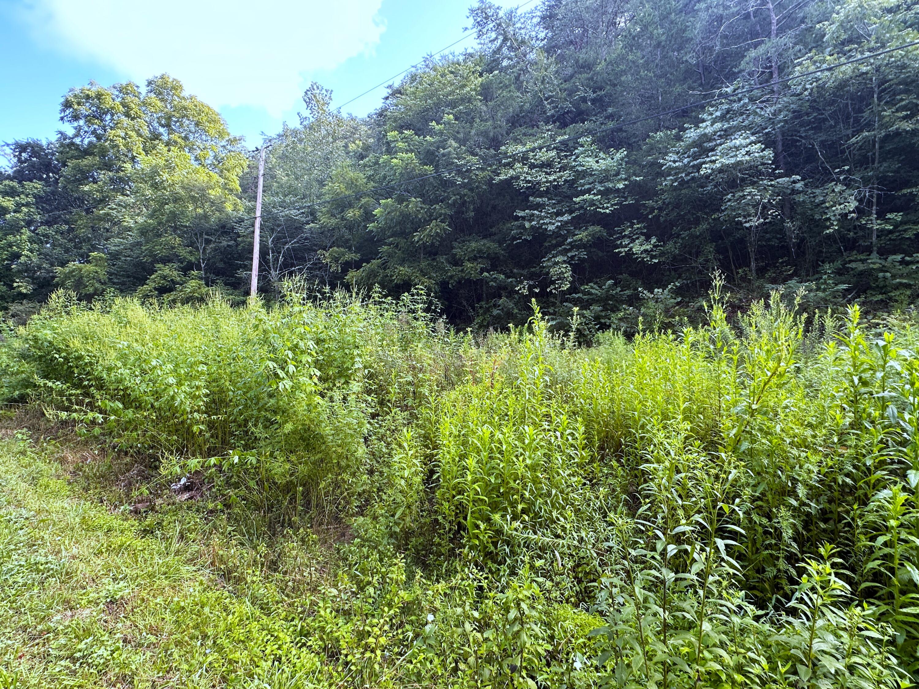 2128 Holt Town Road Newport, TN 37821 - Photo 4 of 9 4