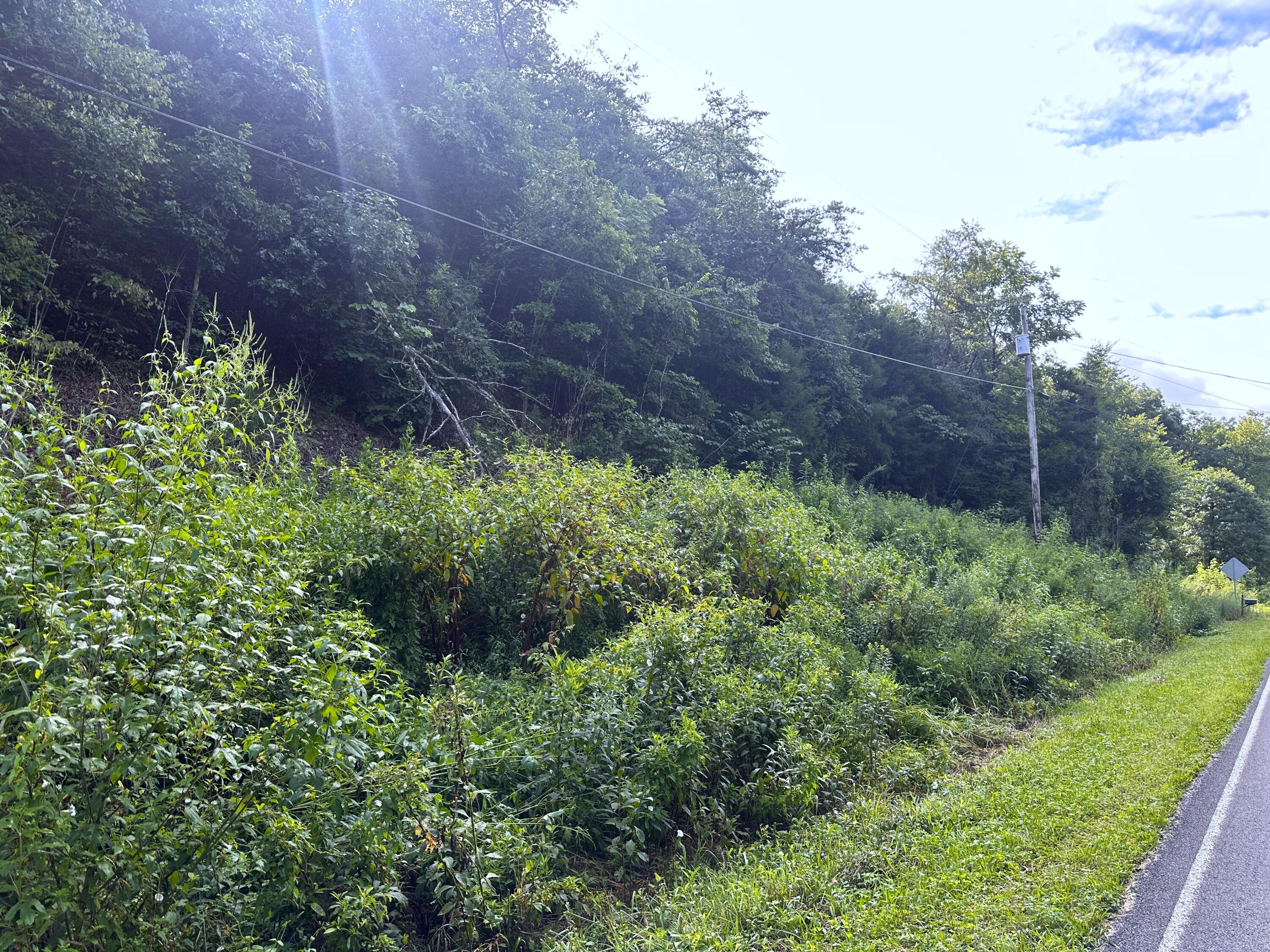 2128 Holt Town Road Newport, TN 37821 - Photo 5 of 9 5