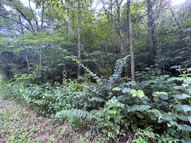 $85,000 | 2128 Holt Town Road, Newport, TN 37821