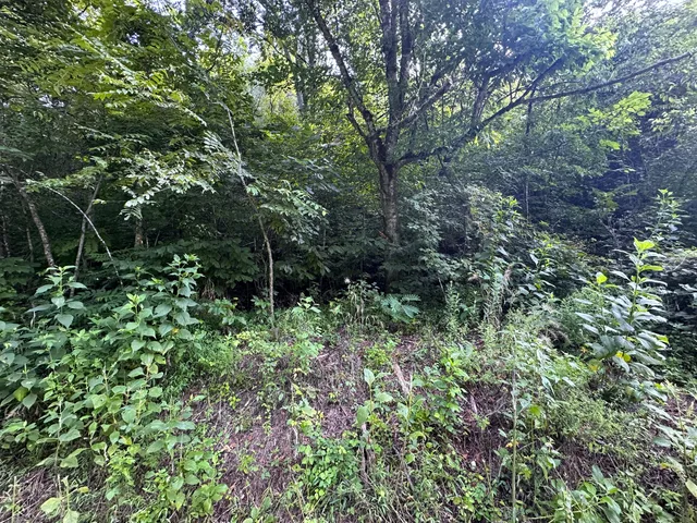 $85,000 | 2128 Holt Town Road, Newport, TN 37821