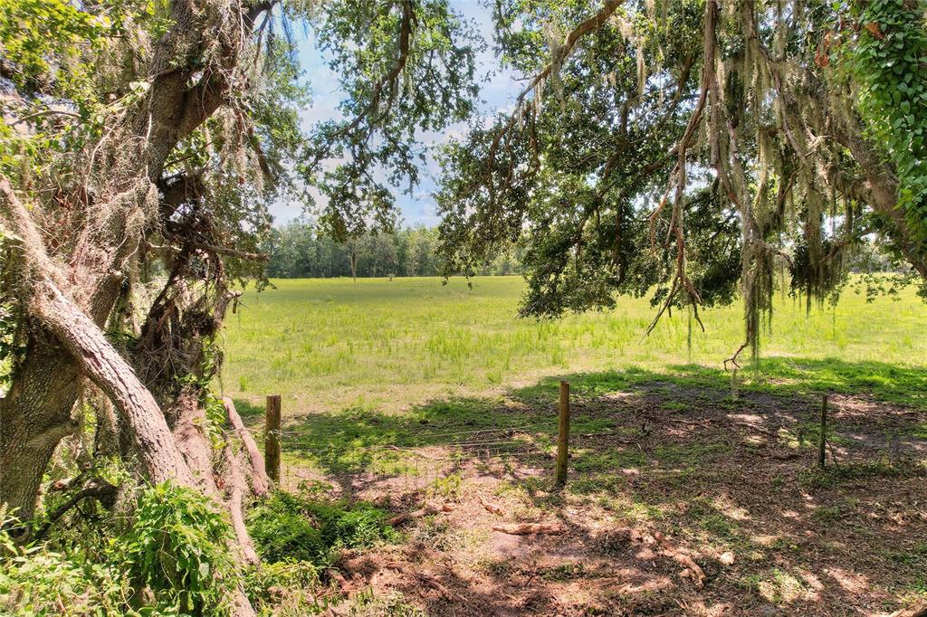 8825 Selph Road Lakeland, FL 33810 - Photo 70 of 71 Gallery Image 70