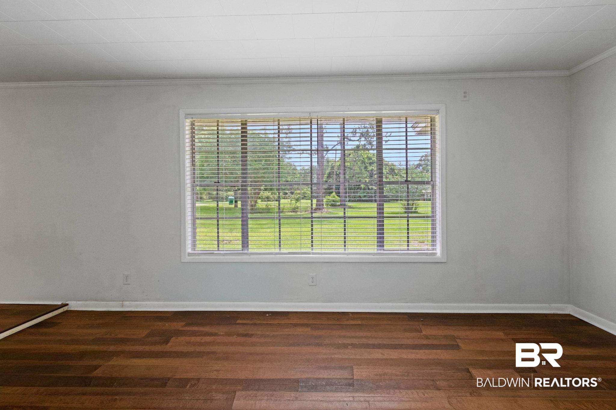 384 Old Bratt Road Atmore, AL 36502 - Photo 33 of 64 Spacious room featuring wood-finish flooring, white baseboards, and a large window with horizontal blinds overlooking a verdant outdoor landscape
