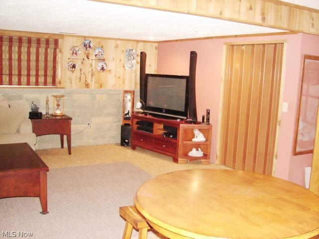 32 Boulder Ridge Place Painesville, OH 44077 - Photo 29 of 33 Family room offers a deep closet, storage for games, equipment, etc.