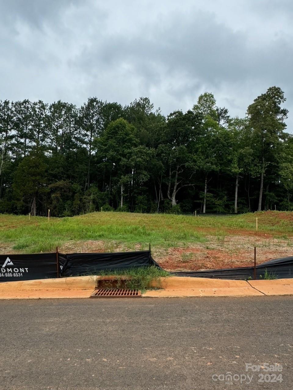 3701 Charles Street Northwest Conover, NC 28613 - Photo 3 of 19