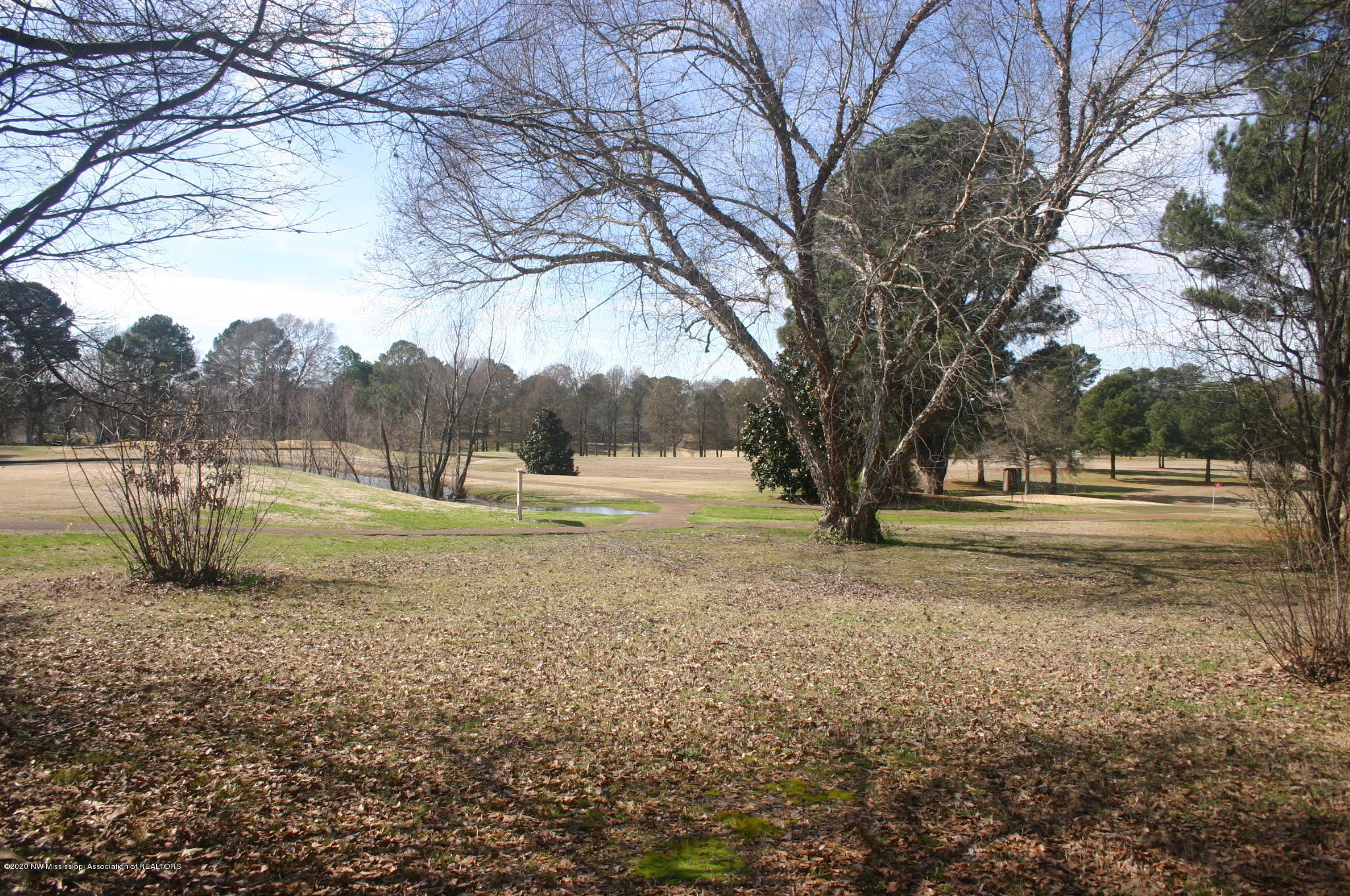 105 Jill Road Senatobia, MS 38668 - Photo 21 of 30 IMG_7875