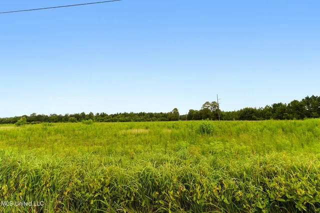 $387,000 | 613 Lucedale Ms 39452, Lucedale, MS 39452