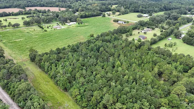 $387,000 | 613 Lucedale Ms 39452, Lucedale, MS 39452