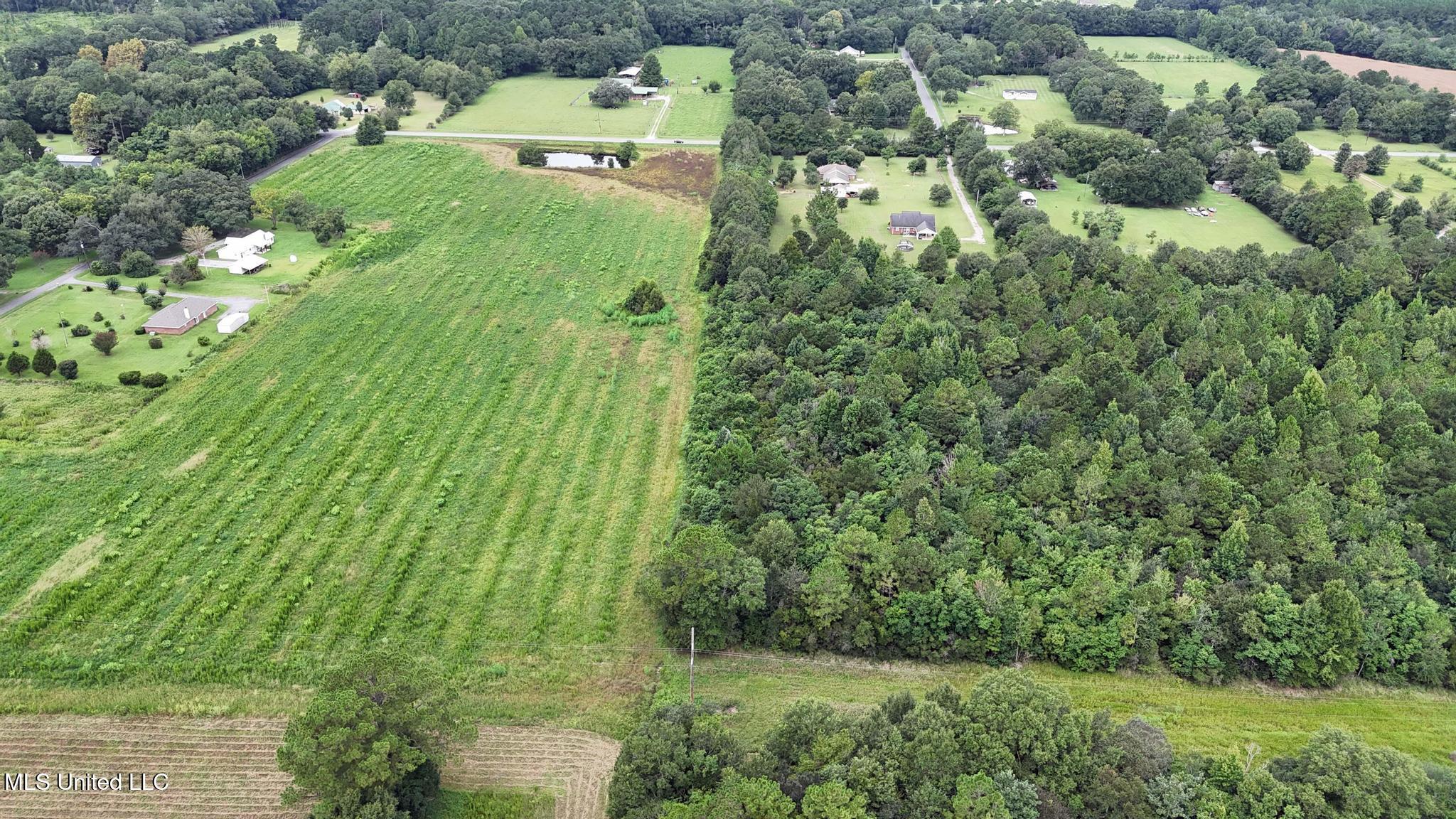 613 Lucedale Ms 39452 Lucedale, MS 39452 - Photo 8 of 9 009