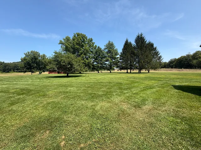 a view of a grassy field with trees