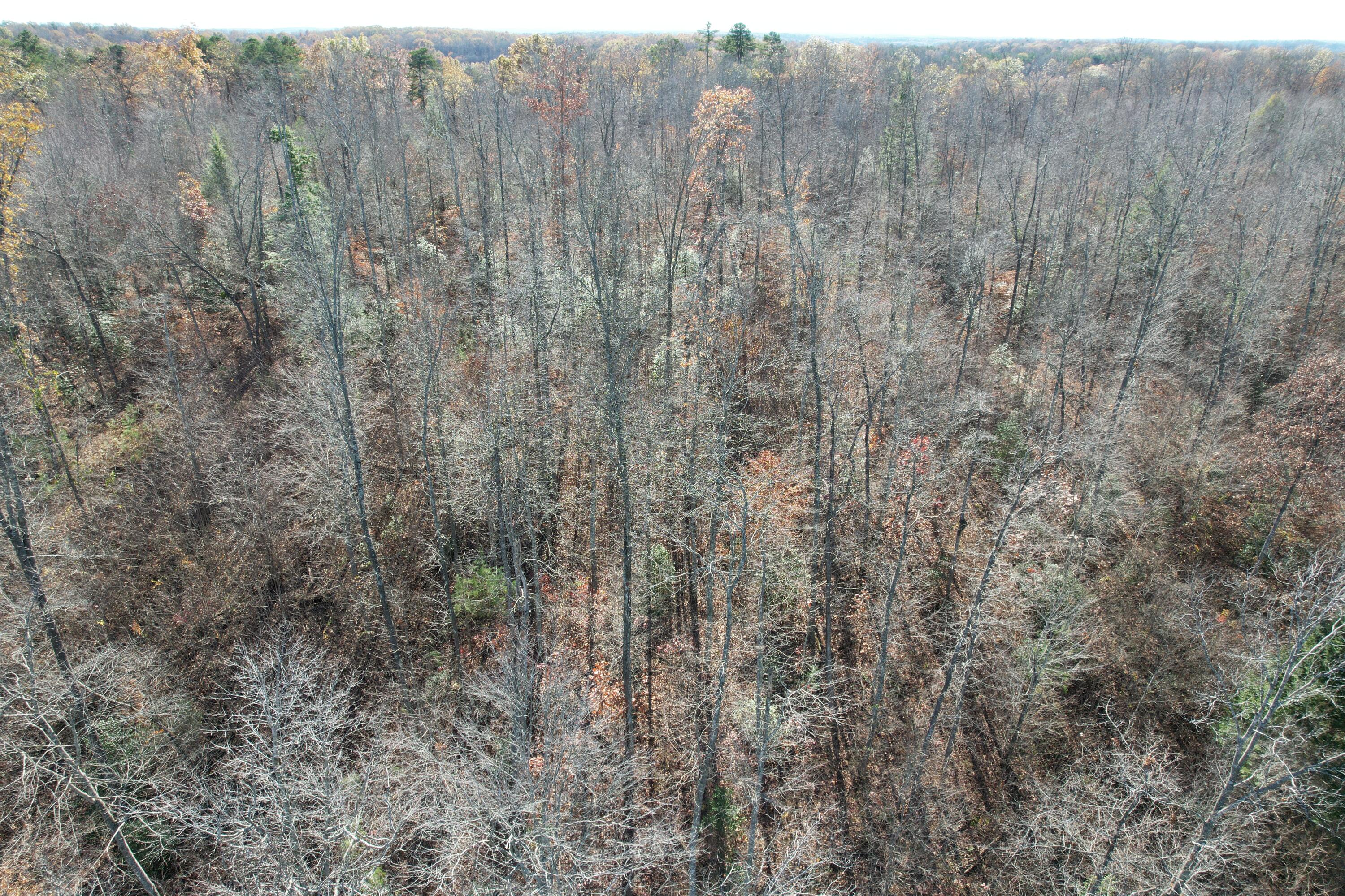 1500 Snake Pond Rdg Road Somerset, KY 42501 - Photo 17 of 56 DJI_0566